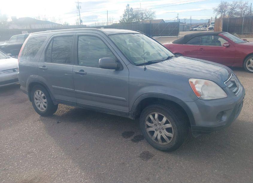 2005 Honda Cr-v SE (VIN JHLRD78945C008876) main photo