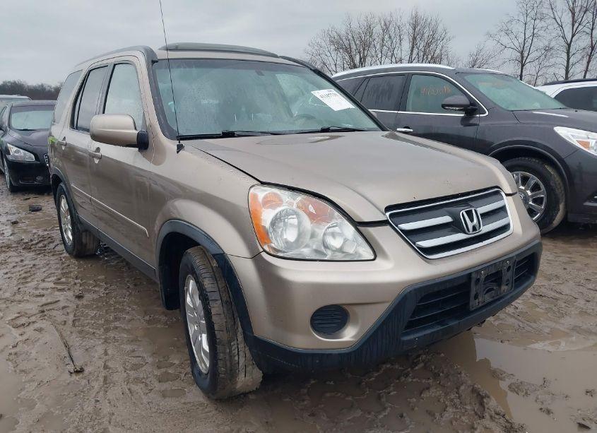2006 Honda Cr-v SE (VIN JHLRD78946C061594) main photo