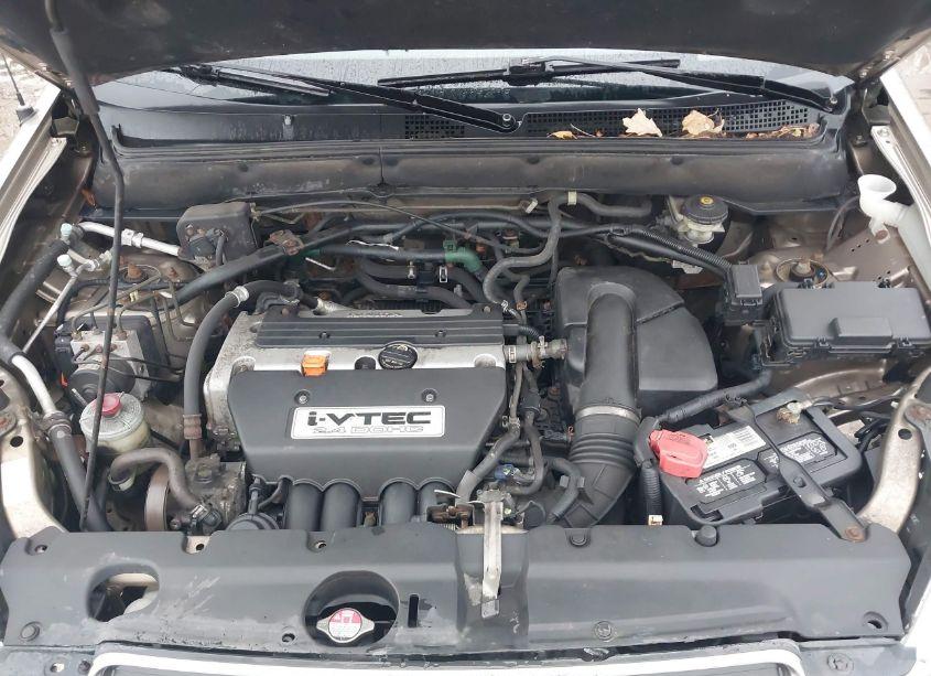 Photo 10 of 2006 Honda Cr-v SE (VIN JHLRD78946C061594)