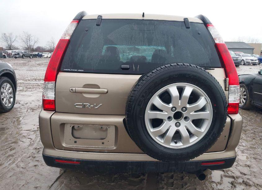 Photo 16 of 2006 Honda Cr-v SE (VIN JHLRD78946C061594)