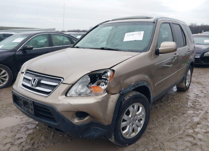 Photo 2 of 2006 Honda Cr-v SE (VIN JHLRD78946C061594)