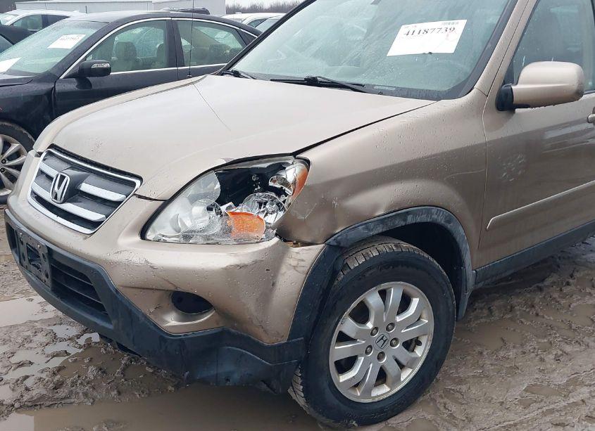 Photo 6 of 2006 Honda Cr-v SE (VIN JHLRD78946C061594)