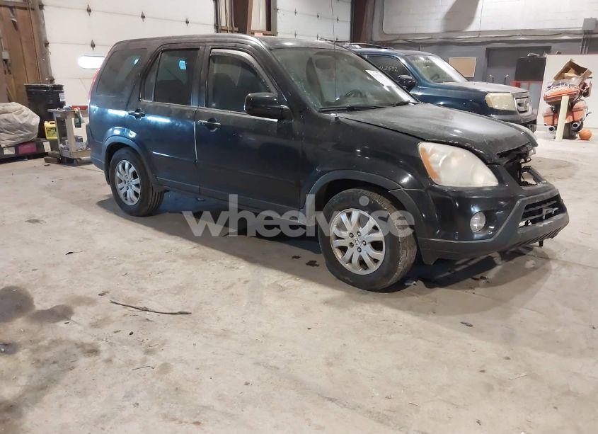 2005 Honda Cr-v SE (VIN JHLRD78955C031793) main photo