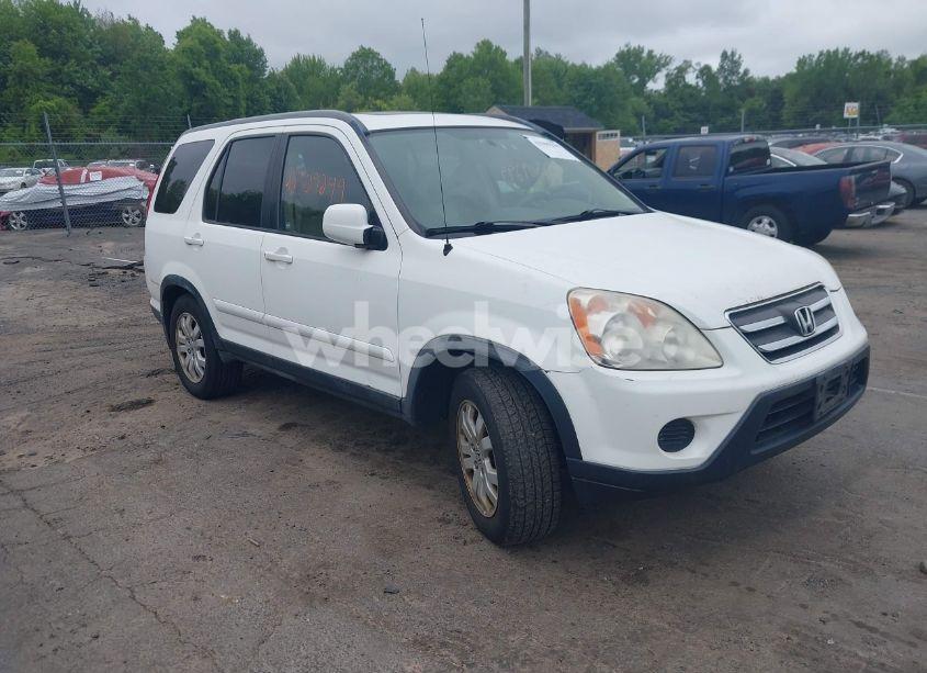 2005 Honda Cr-v SE (VIN JHLRD78965C010919) main photo
