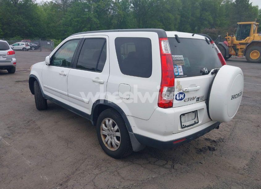 Photo 3 of 2005 Honda Cr-v SE (VIN JHLRD78965C010919)