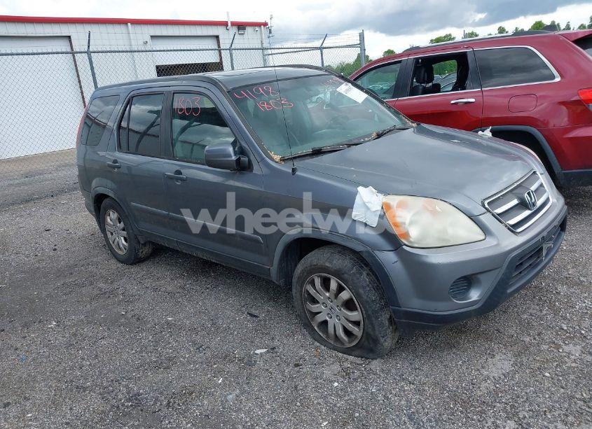2005 Honda Cr-v SE (VIN JHLRD78965C039871) main photo