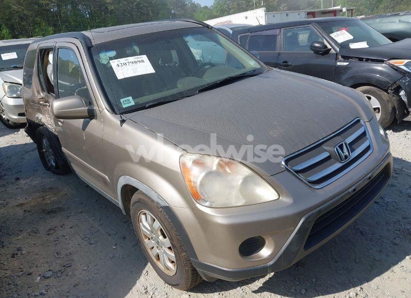 2005 Honda Cr-v SE (VIN JHLRD78965C058842) main photo