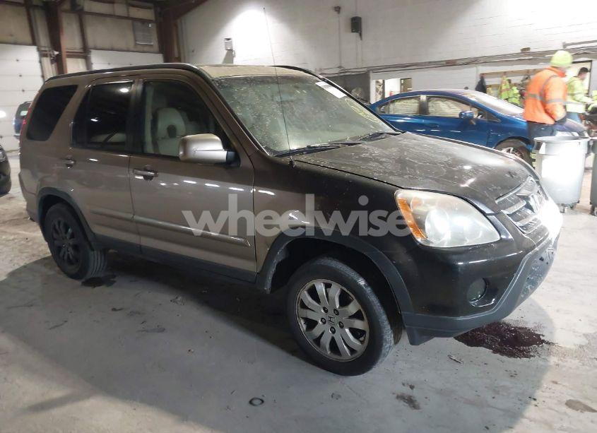 2006 Honda Cr-v SE (VIN JHLRD78966C005379) main photo