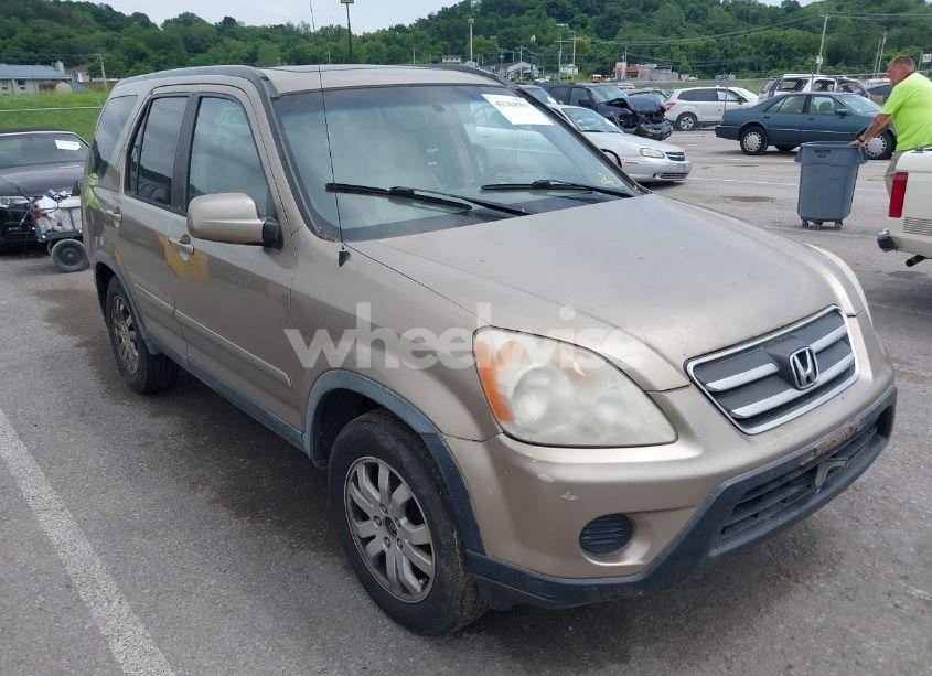 2005 Honda Cr-v SE (VIN JHLRD78975C024733) main photo