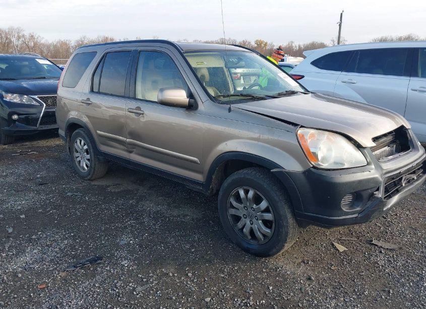 2006 Honda Cr-v SE (VIN JHLRD78976C034888) main photo