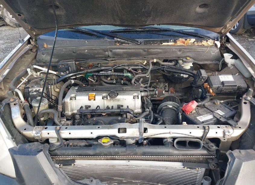 Photo 10 of 2006 Honda Cr-v SE (VIN JHLRD78976C034888)