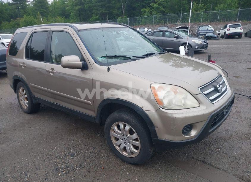 2006 Honda Cr-v SE (VIN JHLRD78976C047771) main photo