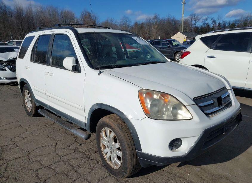 2005 Honda Cr-v SE (VIN JHLRD78985C009710) main photo