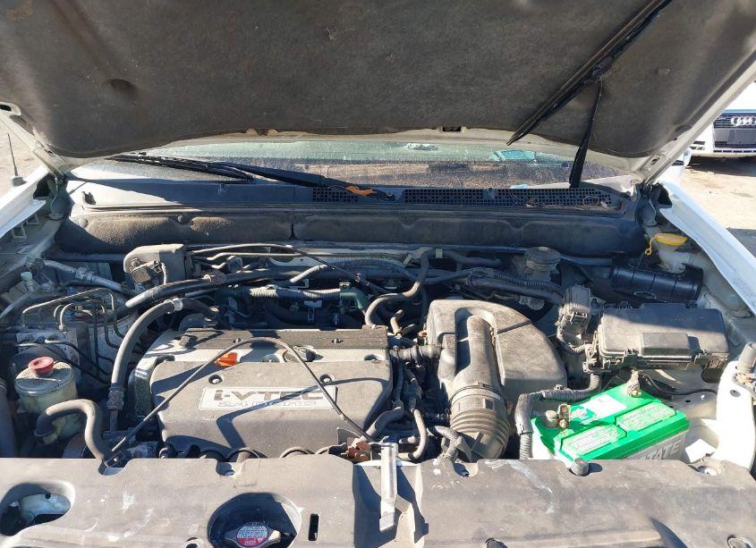 Photo 10 of 2005 Honda Cr-v SE (VIN JHLRD78985C009710)