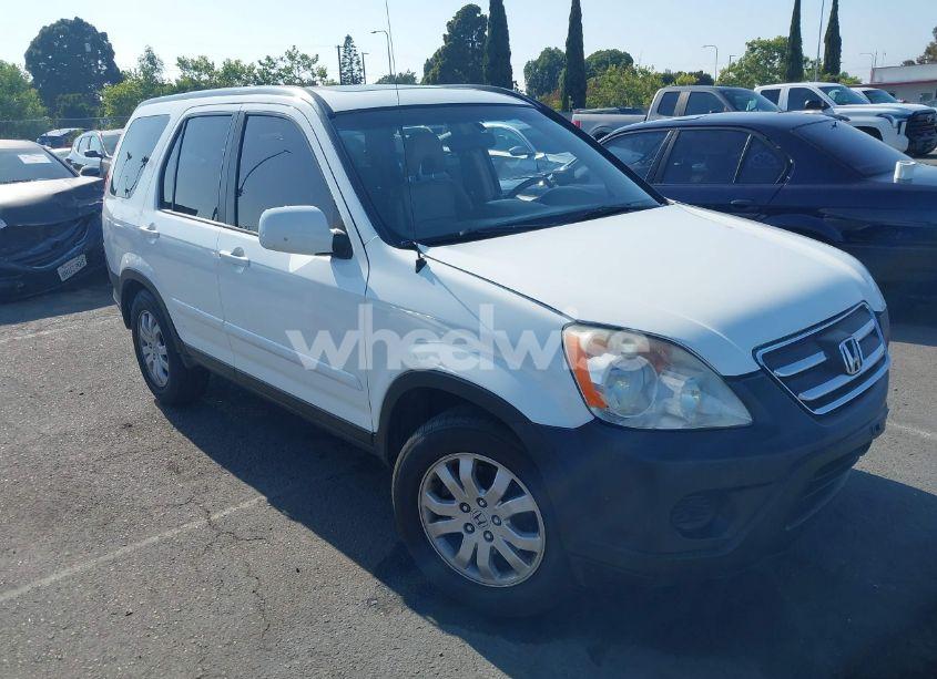 2006 Honda Cr-v SE (VIN JHLRD78986C028372) main photo