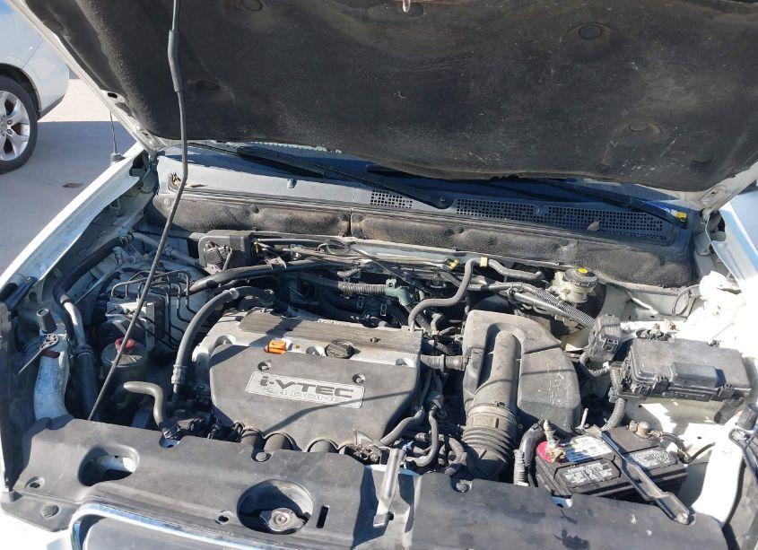 Photo 10 of 2006 Honda Cr-v SE (VIN JHLRD78996C060277)