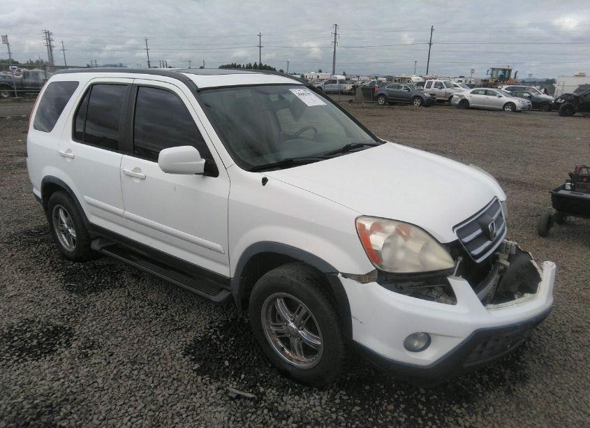 2006 Honda Cr-v SE (VIN JHLRD789X6C045416) main photo