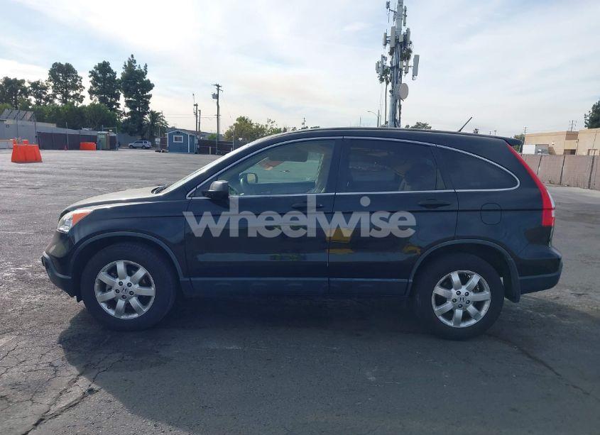 Photo 14 of 2009 Honda Cr-v EX (VIN JHLRE38569C010475)