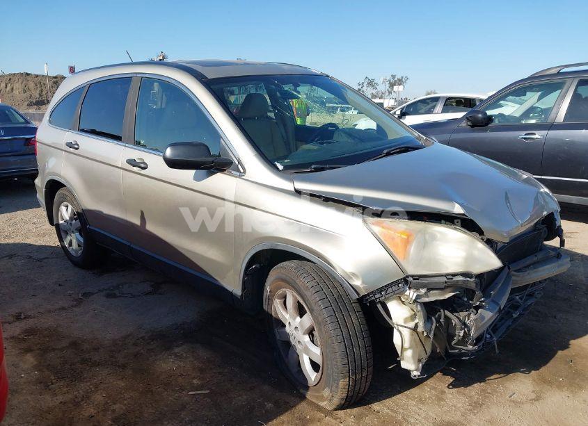 2008 Honda Cr-v EX (VIN JHLRE385X8C019632) main photo