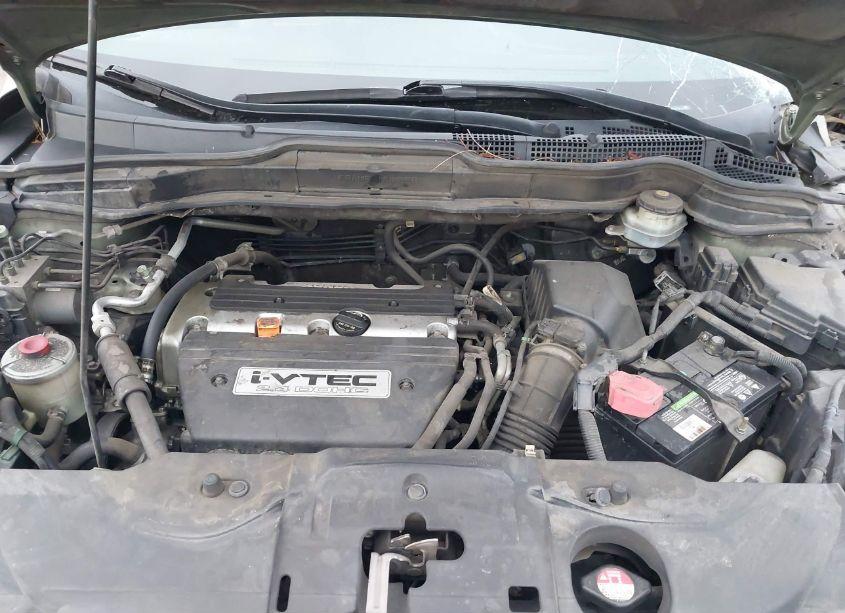 Photo 10 of 2008 Honda Cr-v EX-L (VIN JHLRE38708C024145)