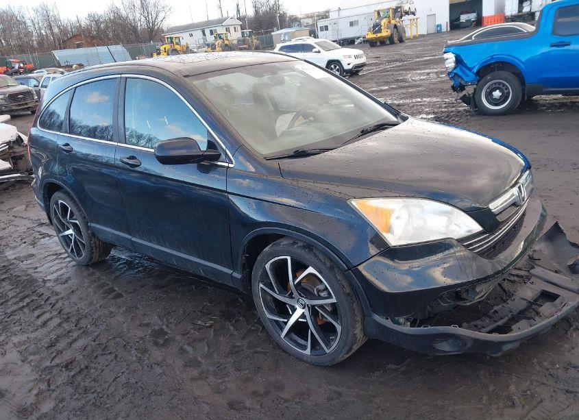 2008 Honda Cr-v EX-L (VIN JHLRE38708C039745) main photo