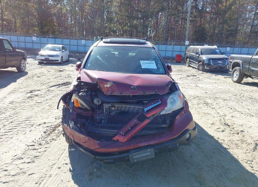 Photo 6 of 2008 Honda Cr-v EX-L (VIN JHLRE38708C045884)