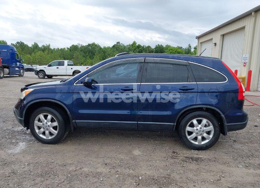 Photo 14 of 2009 Honda Cr-v EX-L (VIN JHLRE38709C005452)