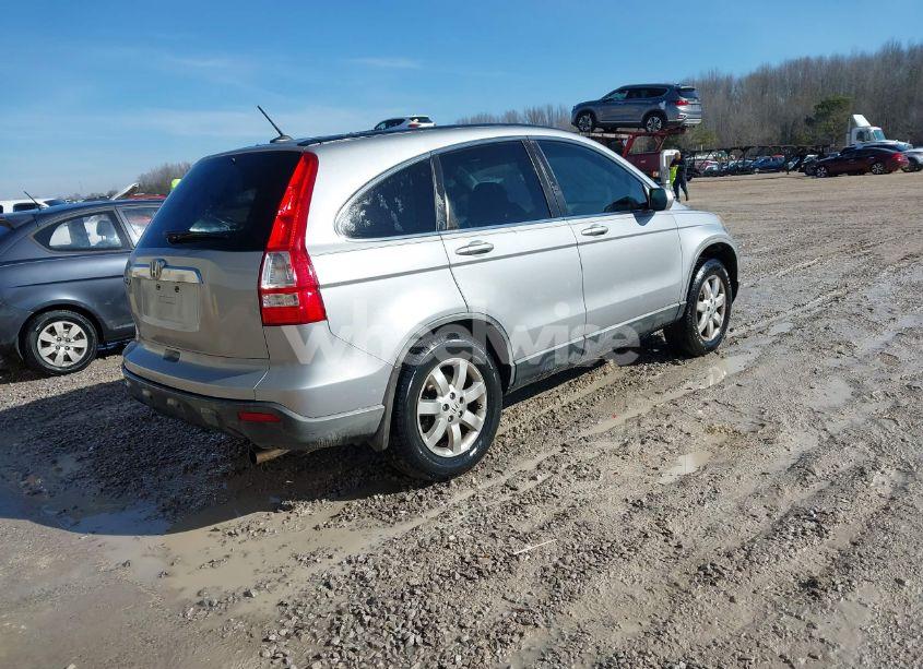 Photo 4 of 2008 Honda Cr-v EX-L (VIN JHLRE38718C057316)