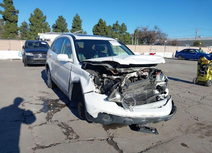 2007 Honda Cr-v EX-L (VIN JHLRE38727C024128) main photo