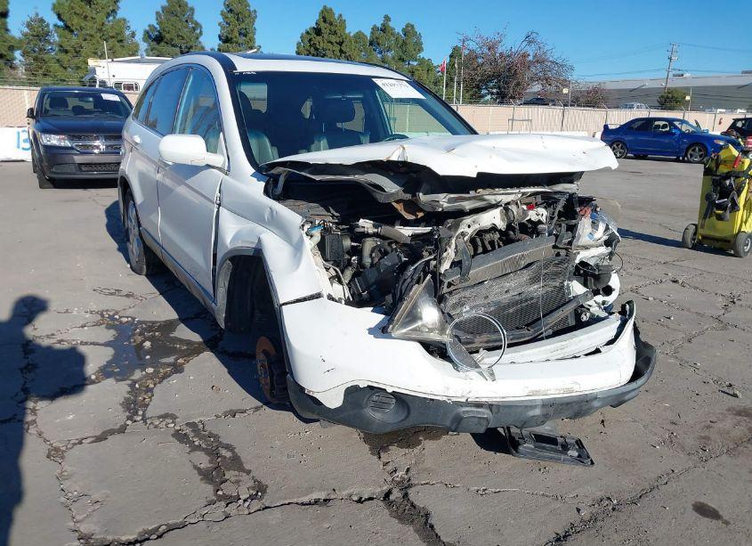 Photo 13 of 2007 Honda Cr-v EX-L (VIN JHLRE38727C024128)