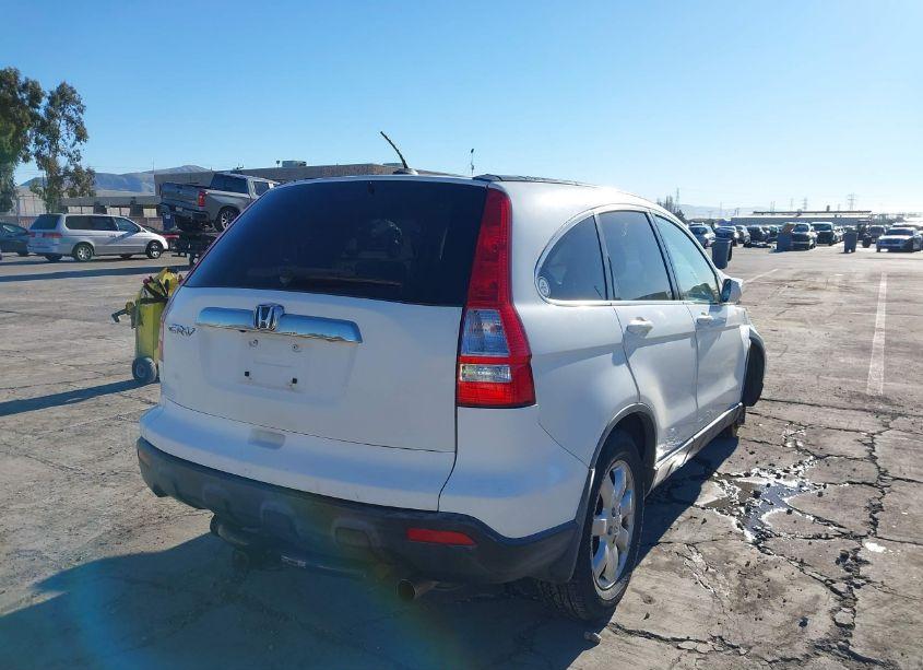 Photo 4 of 2007 Honda Cr-v EX-L (VIN JHLRE38727C024128)