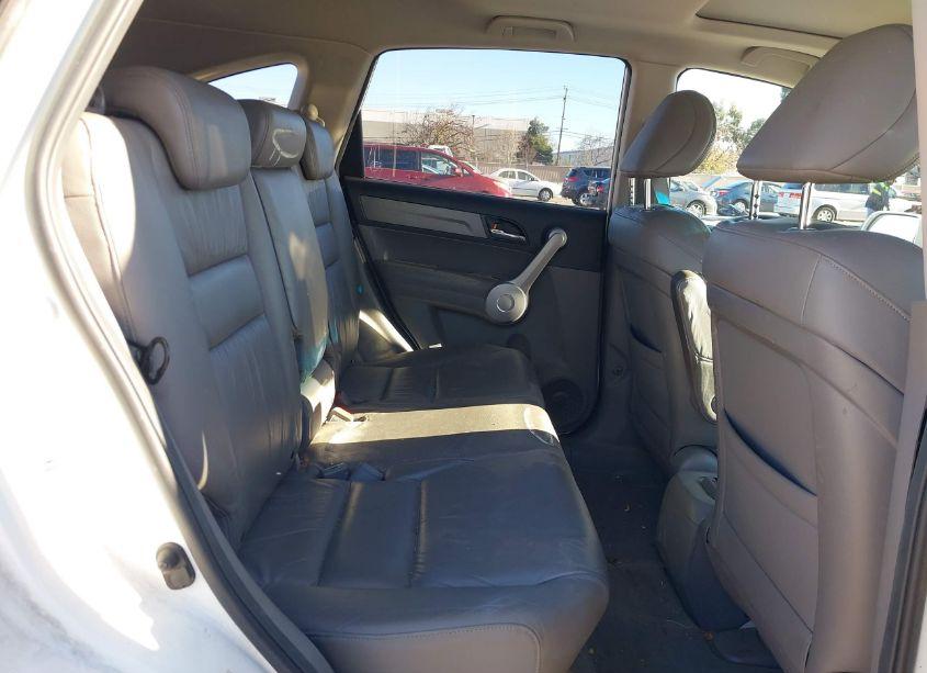 Photo 8 of 2007 Honda Cr-v EX-L (VIN JHLRE38727C024128)