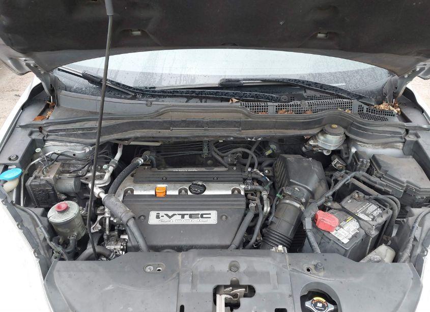 Photo 10 of 2007 Honda Cr-v EXL (VIN JHLRE38727C040541)