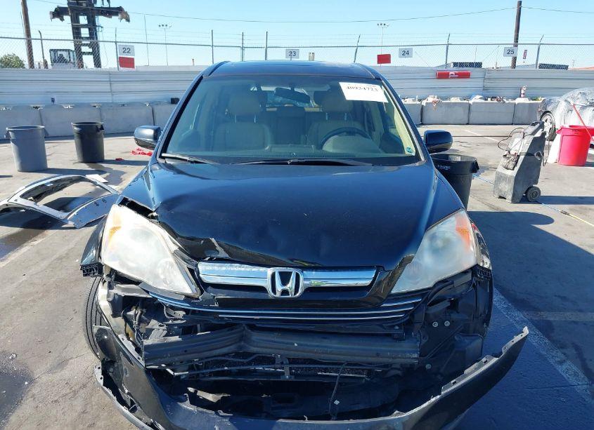 Photo 12 of 2007 Honda Cr-v EX-L (VIN JHLRE38727C051586)