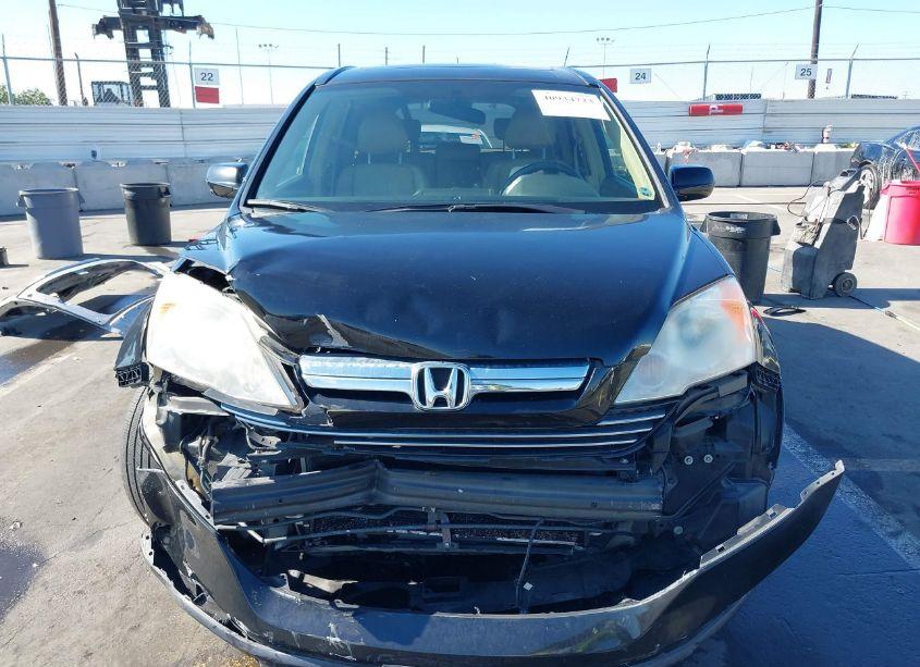 Photo 6 of 2007 Honda Cr-v EX-L (VIN JHLRE38727C051586)