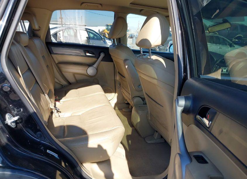 Photo 8 of 2007 Honda Cr-v EX-L (VIN JHLRE38727C051586)