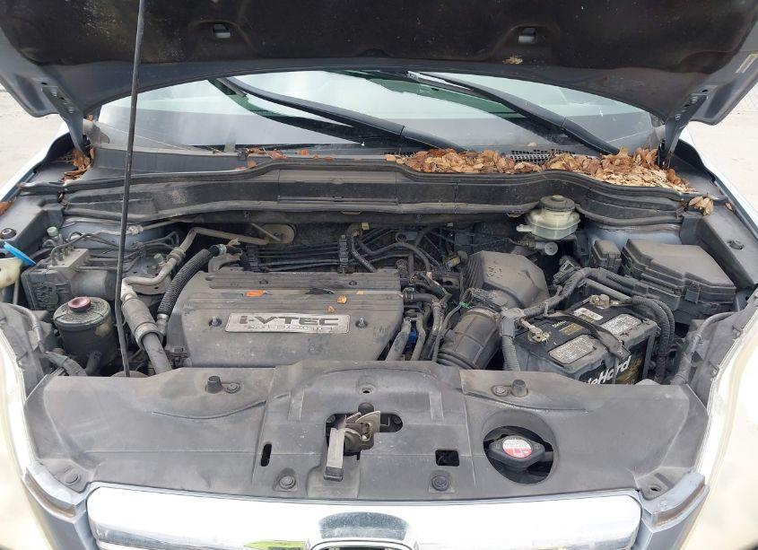 Photo 10 of 2009 Honda Cr-v EX-L (VIN JHLRE38729C012564)