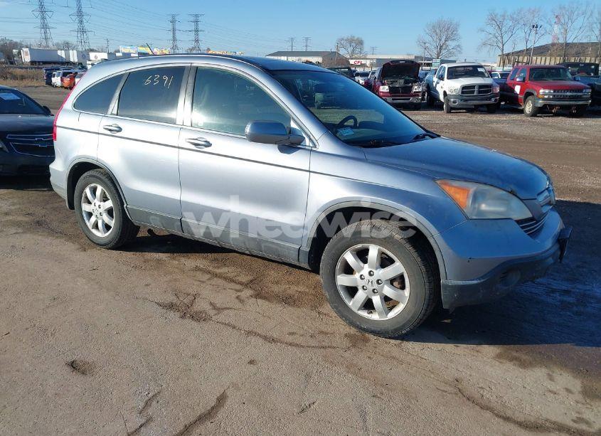 2007 Honda Cr-v EX-L (VIN JHLRE38737C038622) main photo