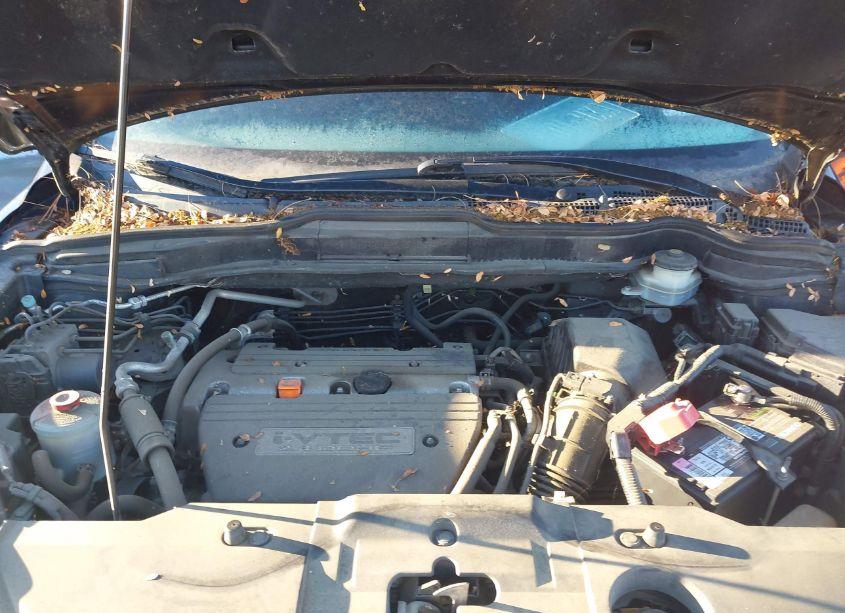 Photo 10 of 2008 Honda Cr-v EX-L (VIN JHLRE38738C022065)