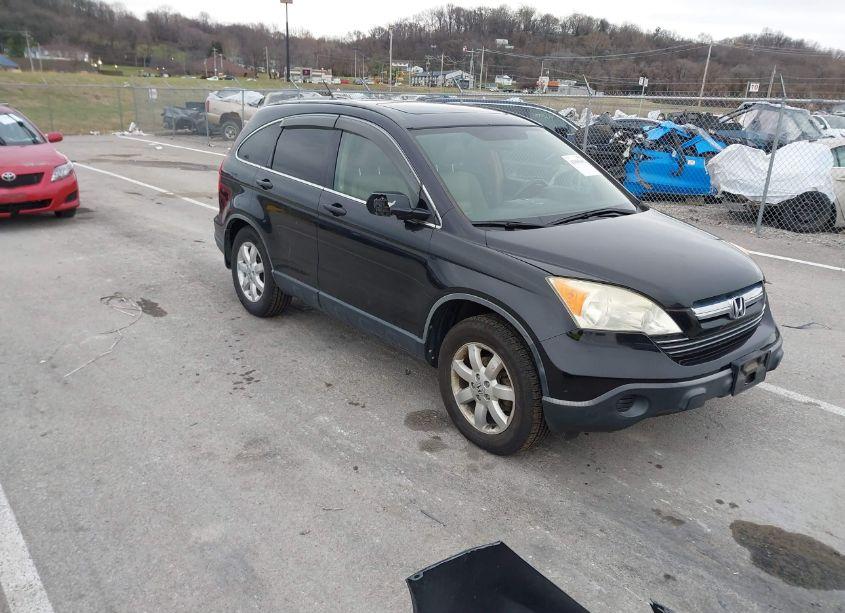2007 Honda Cr-v EX-L (VIN JHLRE38747C034319) main photo