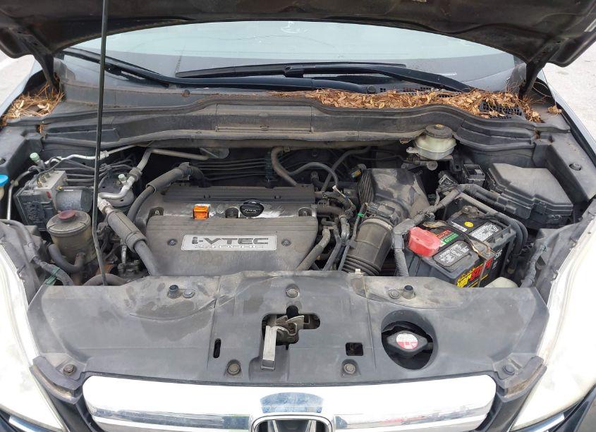 Photo 10 of 2007 Honda Cr-v EX-L (VIN JHLRE38747C034319)