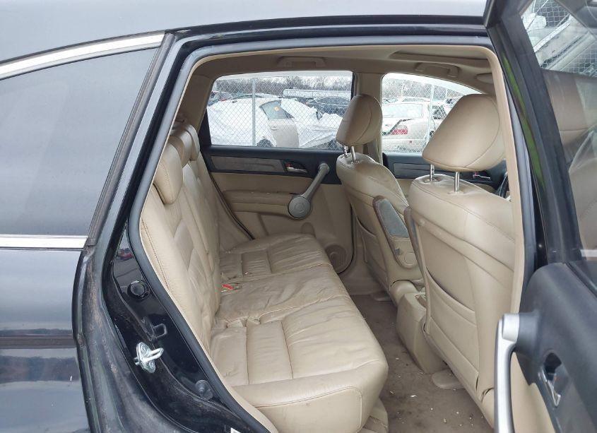 Photo 8 of 2007 Honda Cr-v EX-L (VIN JHLRE38747C034319)