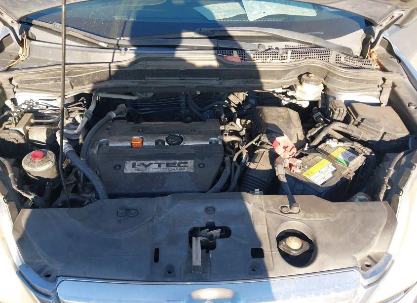 Photo 10 of 2008 Honda Cr-v EX-L (VIN JHLRE38748C018784)