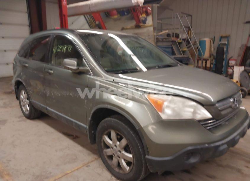 2008 Honda Cr-v EX-L (VIN JHLRE38748C020213) main photo