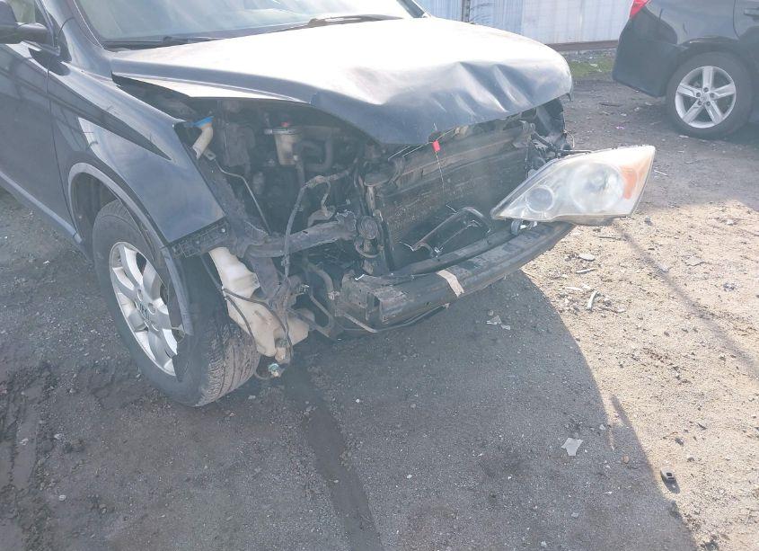 Photo 6 of 2008 Honda Cr-v EX-L (VIN JHLRE38748C025752)