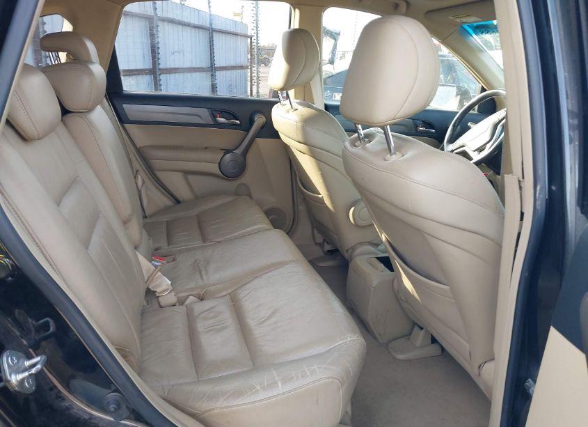 Photo 8 of 2008 Honda Cr-v EX-L (VIN JHLRE38748C025752)