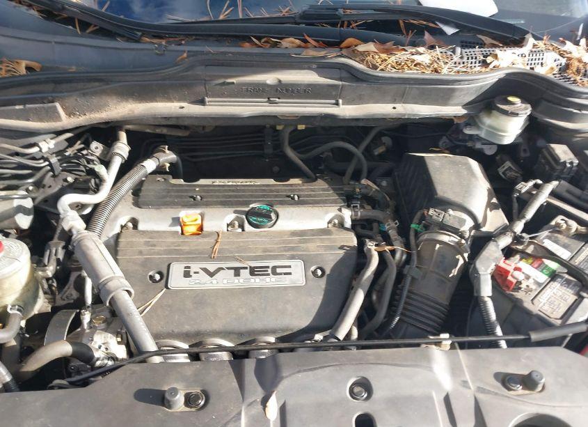 Photo 10 of 2008 Honda Cr-v EX-L (VIN JHLRE38748C033432)