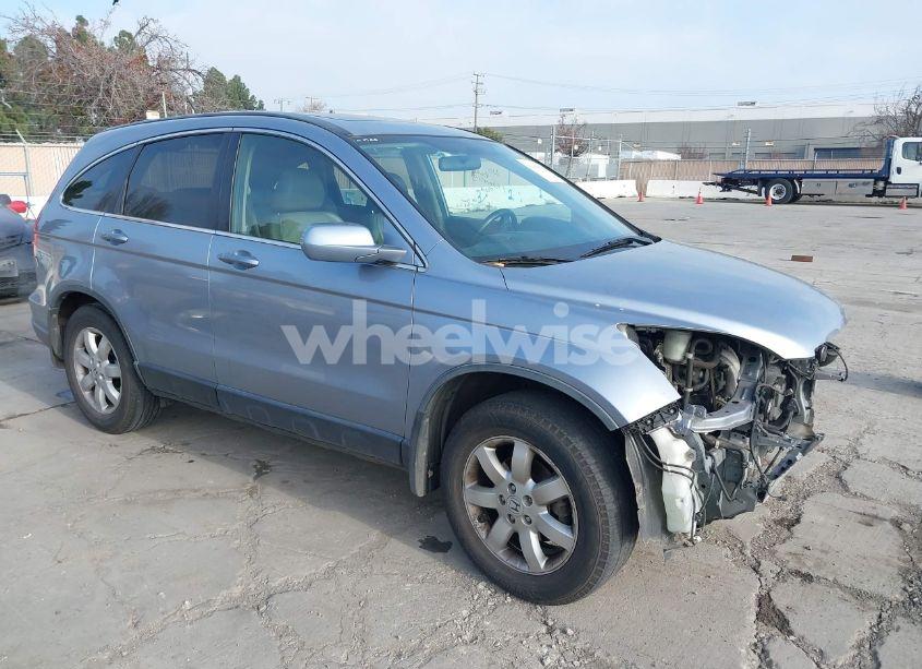 2008 Honda Cr-v EX-L (VIN JHLRE38748C036783) main photo
