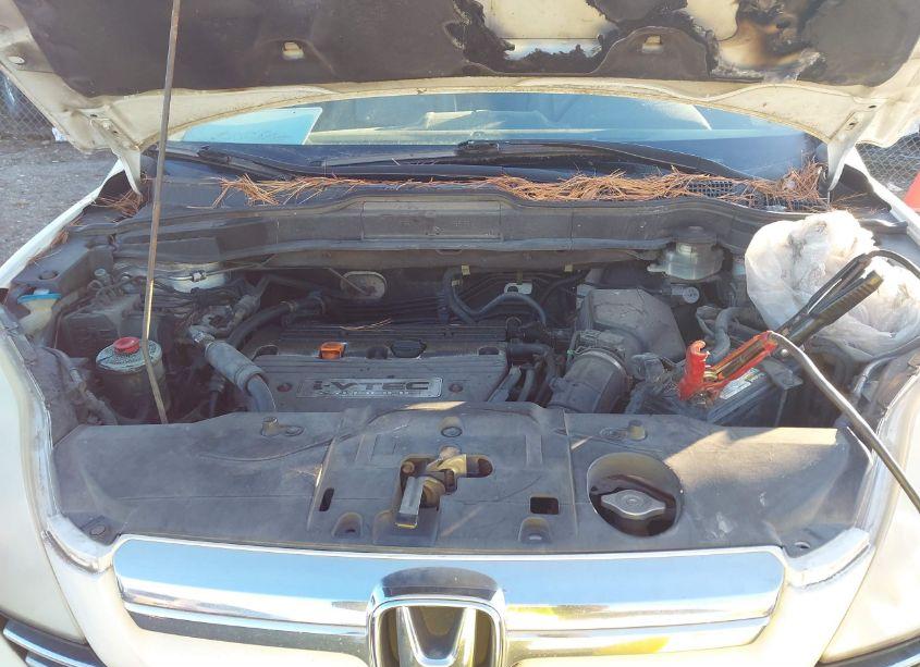 Photo 10 of 2008 Honda Cr-v EX-L (VIN JHLRE38748C057309)