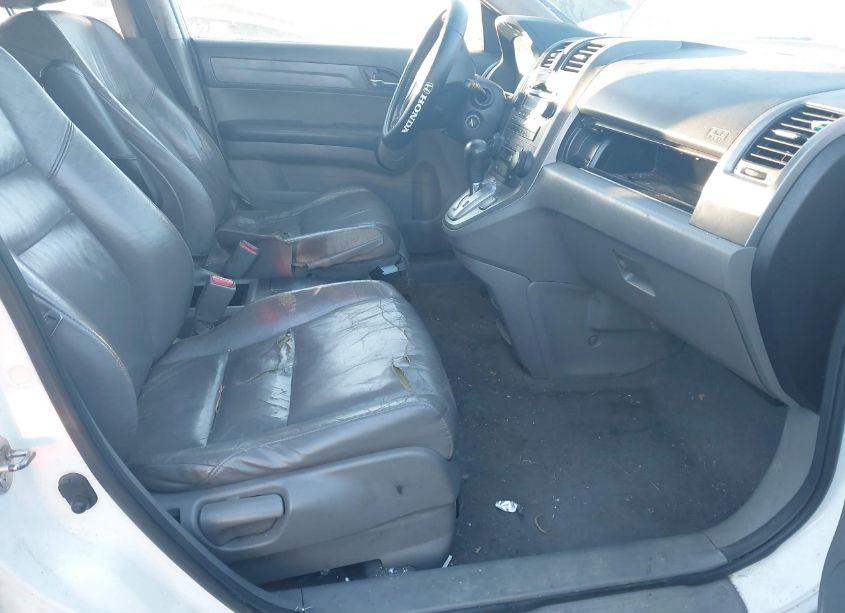 Photo 5 of 2008 Honda Cr-v EX-L (VIN JHLRE38748C057309)